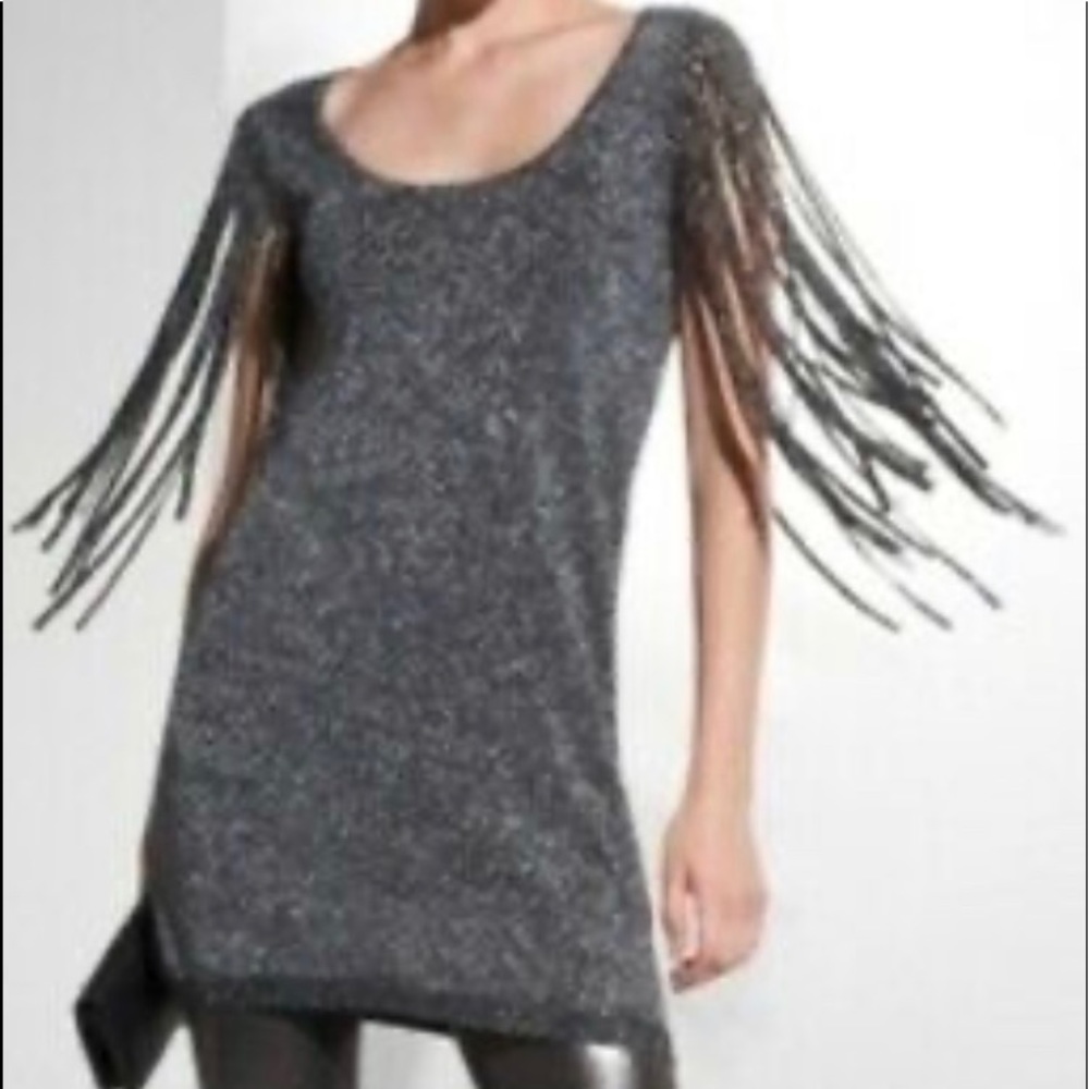 Silver metallic fringed dress.